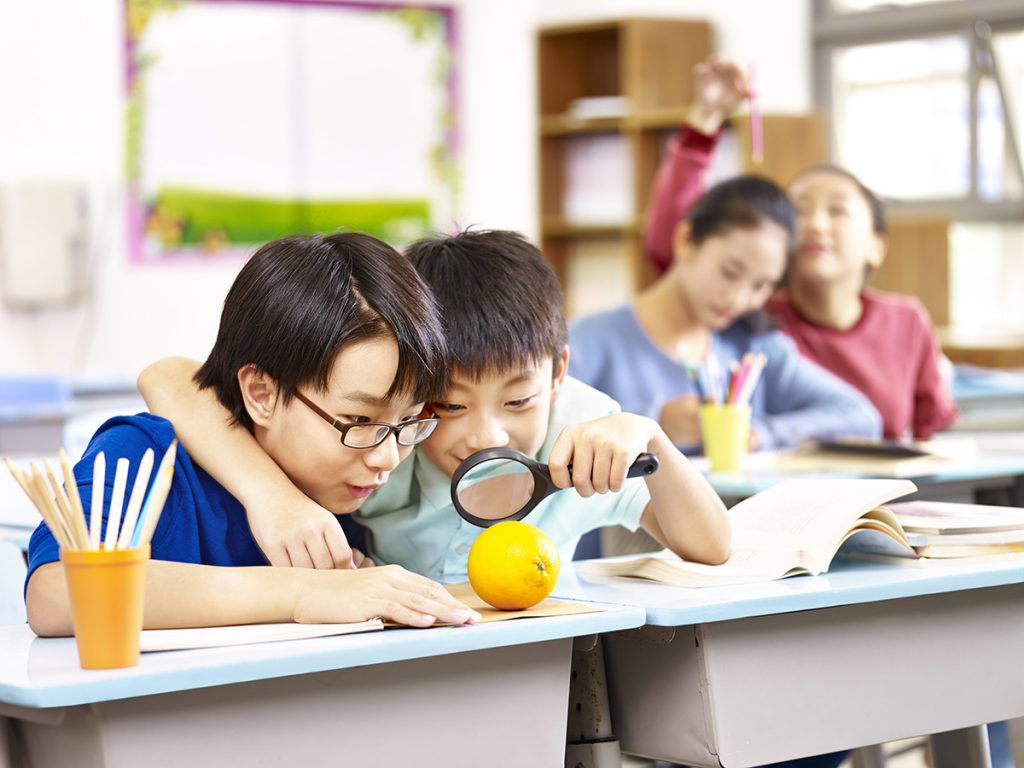 ระบบการศึกษาสิงคโปร์เน้นให้สอดคล้องกับความต้องการ ความชอบ ความสามารถ และข้อจำกัดบางประการของผู้เรียนได้